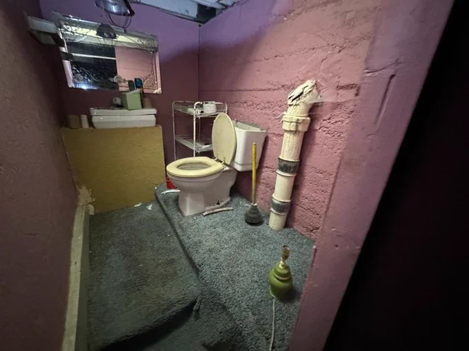 cursed toilets 