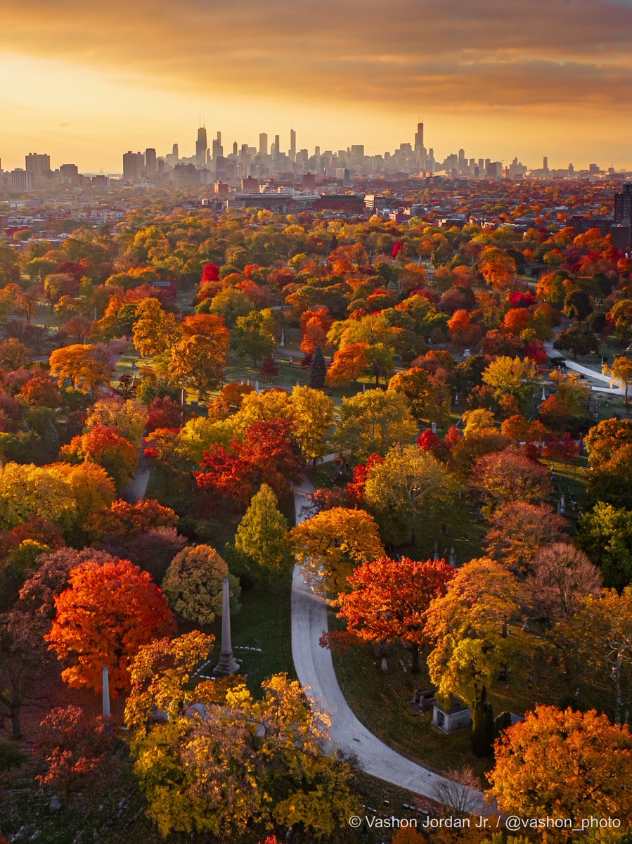vashon_photo's tweet image. Chicago wins Autumn 🍂🍁