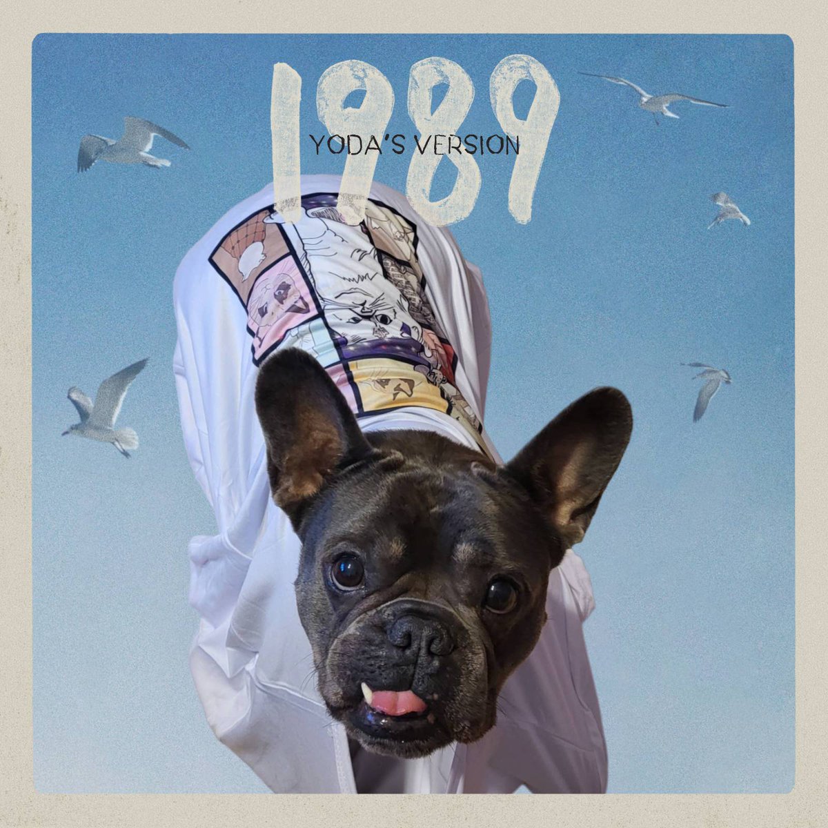 Sanwit86's tweet photo. #1989TaylorsVersion 
#1989YodaVersion
@taylorswift13 
@taylornation13 

#frenchbulldog #frenchie #buldogfrancuski https://t.co/Mjcfk6ObtK