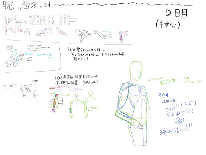 結構必死で覚えてるけど身になってる感が凄い薄味だからやってて効果あるのか不安しかねぇ…他の人の絵の模写とかから学んで行った方が良いかなぁ… 
