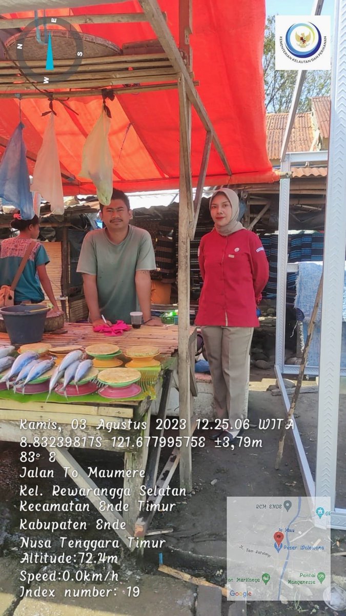 riatnichen's tweet photo. Selasa,(03/08/2023), Riatni A.H. Husen Luhkan Kab. Ende, melaporkan pemasaran ikan Kombong oleh Poklahsar Sano Sebanyak 50 kg dengan harga 30.000/kg dipasar Wolowona Kel. Rewarangga Selatan.
#GiatLuhkanSatminkalGONDOL #Ende 
@bppsdm_kp @puslatluhkp
@bppsdm_gondol 
@lapregiwati https://t.co/jGbPQaXA6R