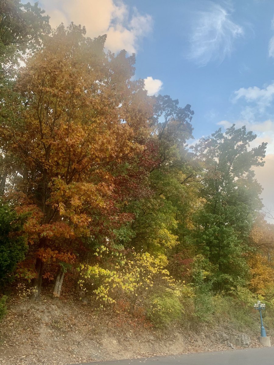 KimRoyCranston's tweet image. What a beautiful fall morning in the Ozarks! We’re getting ready for MOASBO’s Support Staff Conference.
Excited to see everyone. #moasbo #FallistheBest