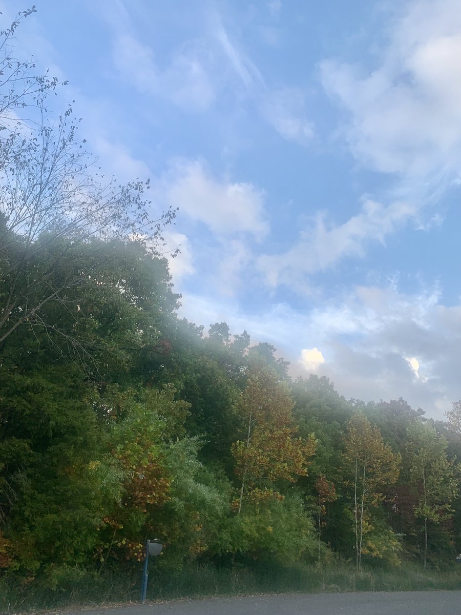 KimRoyCranston's tweet image. What a beautiful fall morning in the Ozarks! We’re getting ready for MOASBO’s Support Staff Conference.
Excited to see everyone. #moasbo #FallistheBest