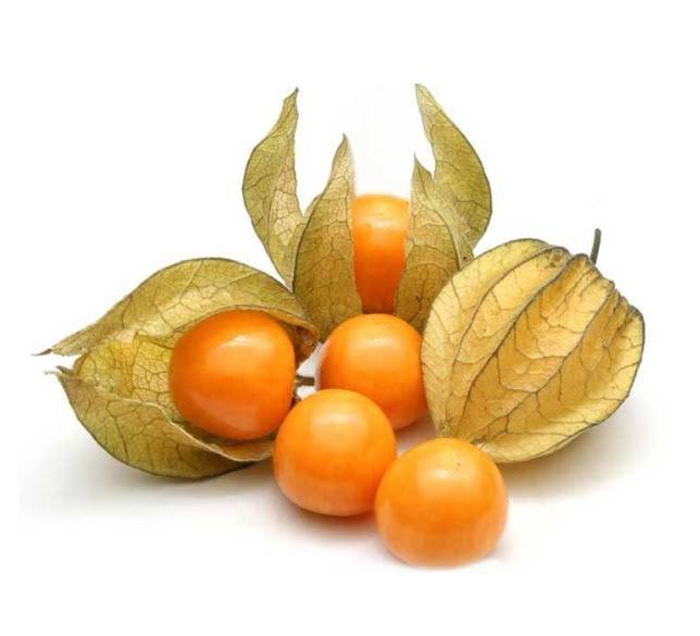 Селфія Ігорівна tweet media