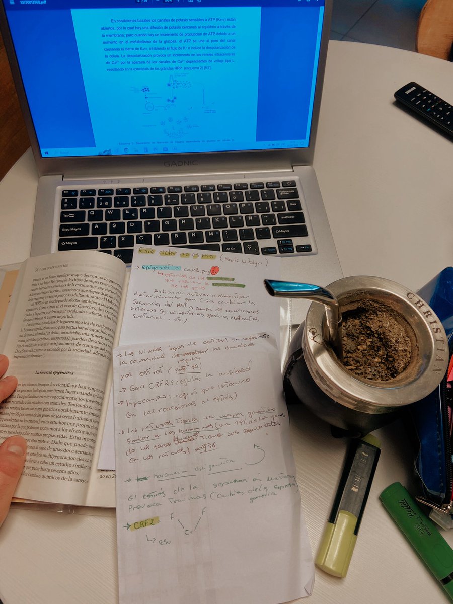 r_chris96's tweet photo. Mas que leer, estudiar. 😍 ¡Que libro! 🙌🏻 @MarkWolynn 

#estedolornoesmio #genetica #epigenetica #libro https://t.co/KpVE8rwv9Q