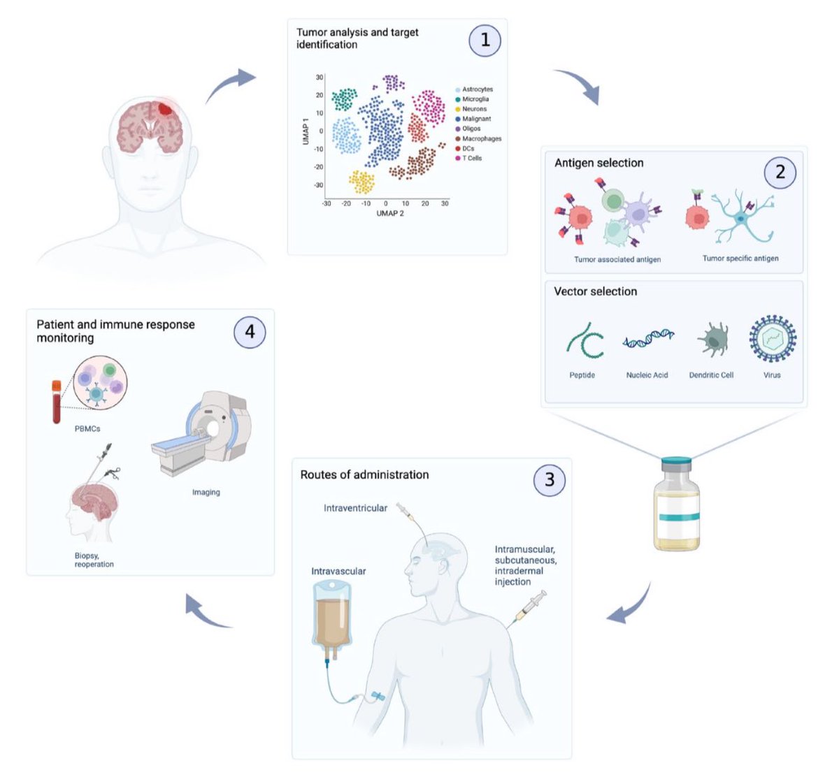 Alexander Jucht (@ajucht) on Twitter photo 💉🧠 With recent exciting developments in the field of #glioma #immunotherapy, I’m happy to share our review on therapeutic vaccine strategies for the treatment of diffusely infiltrating gliomas in collaboration with Nick Gonzalez Castro, <a href="/ChanningPooley/">Channing Pooley</a>, and <a href="/SydneyDDumont/">Sydney Dumont (she/her)</a>! 💉🧠 With recent exciting developments in the field of #glioma #immunotherapy, I’m happy to share our review on therapeutic vaccine strategies for the treatment of diffusely infiltrating gliomas in collaboration with Nick Gonzalez Castro, <a href="/ChanningPooley/">Channing Pooley</a>, and <a href="/SydneyDDumont/">Sydney Dumont (she/her)</a>!