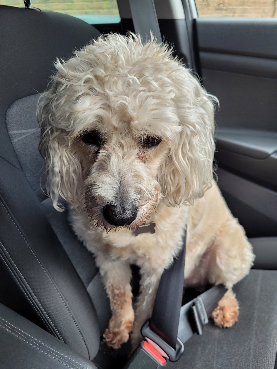 How come you always drive daddy