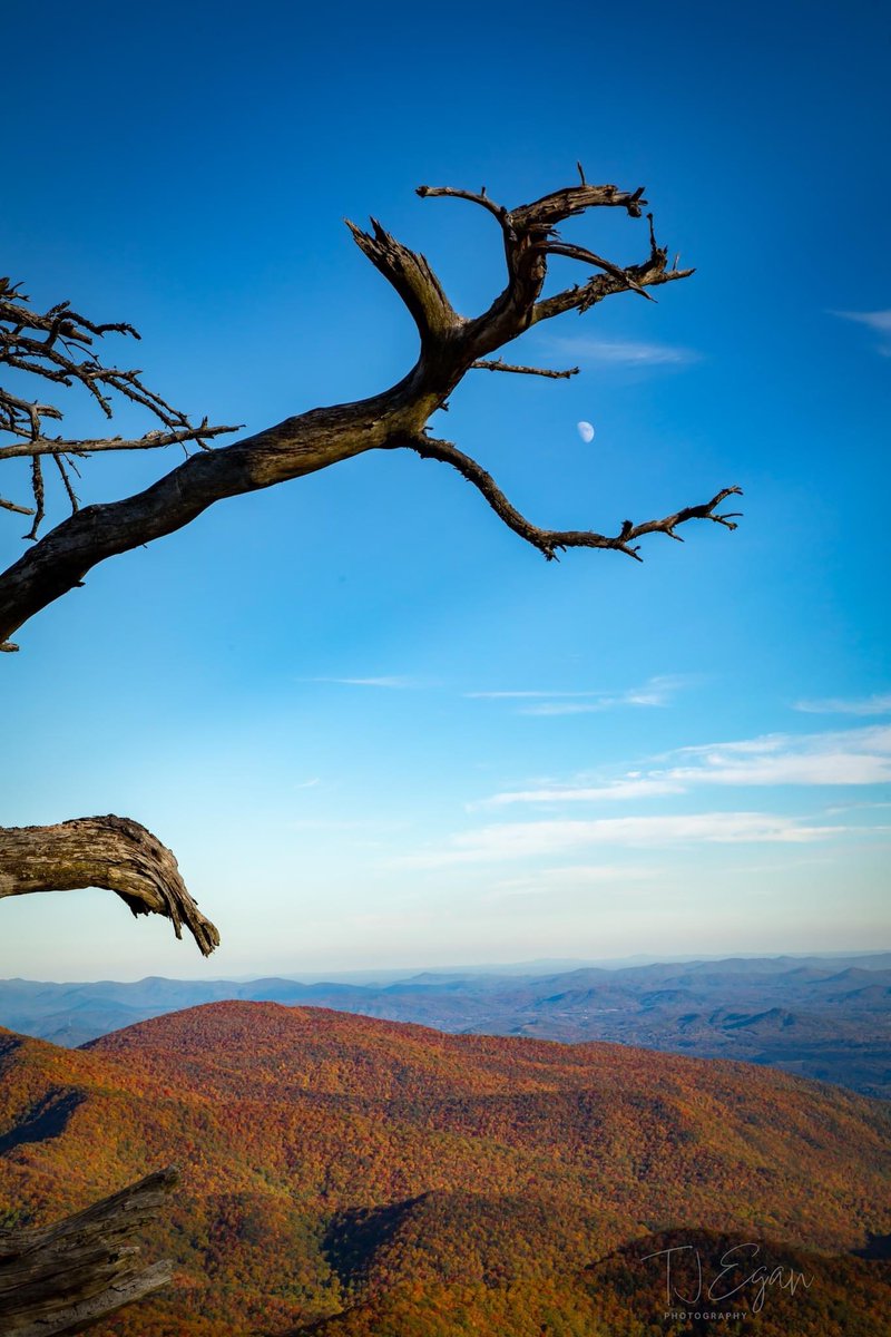 Danny Griffin (@mauidano) on Twitter photo 