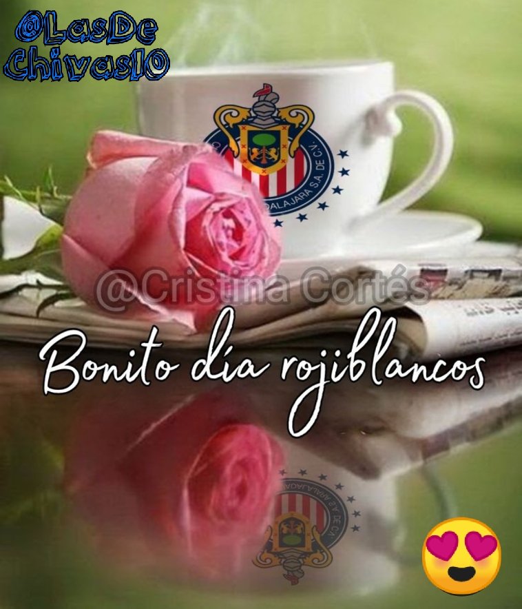 LasDeChivas10's tweet photo. ¡Buenos Días Amigos Rojiblancos ! 🔴⚪🔵
👠⚽ https://t.co/FuAItCs0Eh