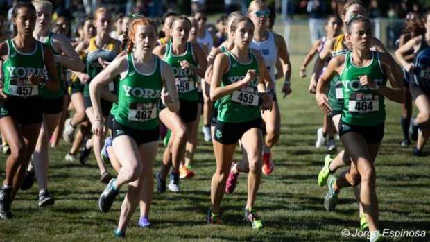 MSHeartland_'s tweet photo. We have reached the pinnacle for the weekly MileSplit IL team rankings. Check out and enjoy our final edition for the season ➡️https://t.co/UiEm4LuSaX https://t.co/qb5mUAYUg7