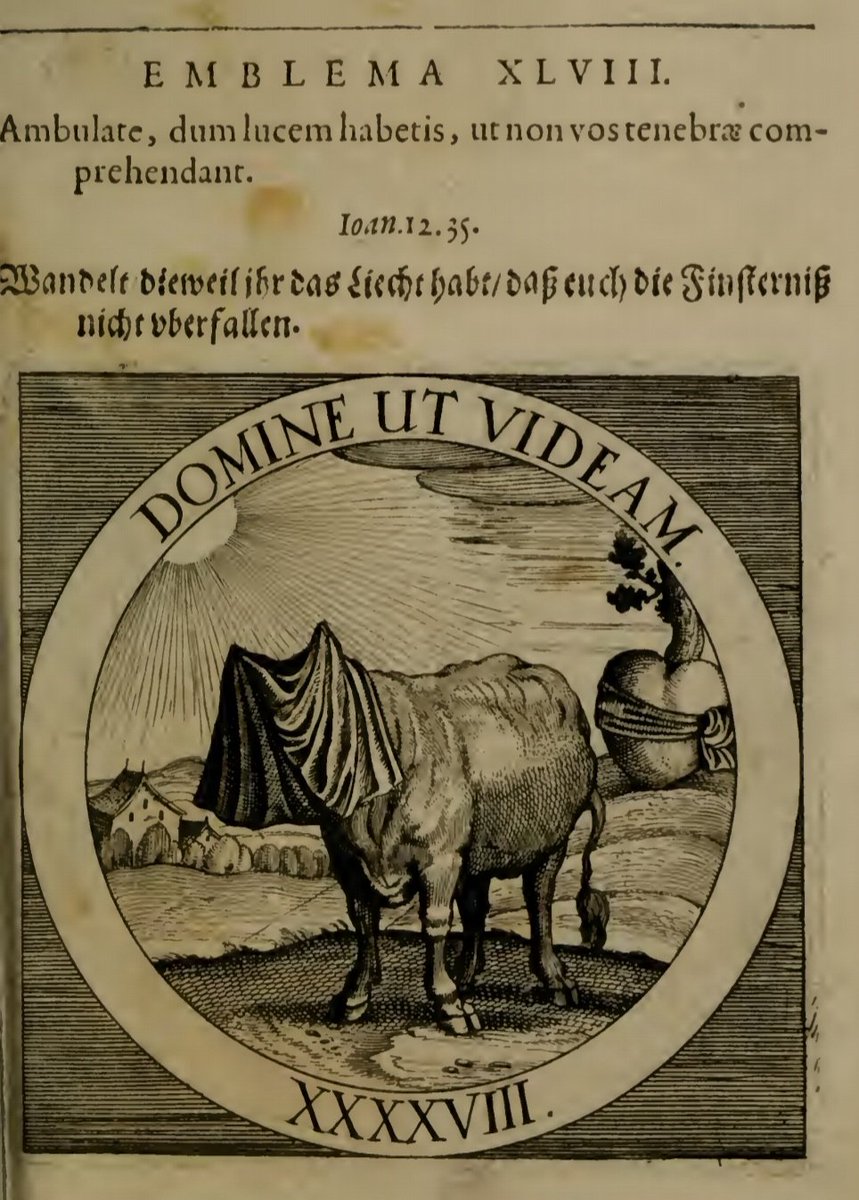 cikisharitasi's tweet photo. "Domine ut Videam."
"Tanrım, görebileyim."

"Ambulate, dum lucem habetis, ut non vos tenebra comprehendant."

"Yürü, içinde ışık varken, ki karanlık seni yakalamasın."