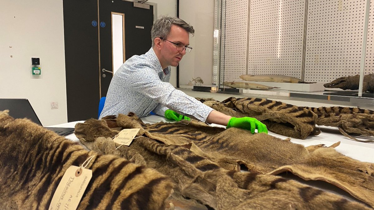 NatSCA (@nat_sca) on Twitter photo New blog out today by <a href="/JackDAshby/">Jack Ashby</a> that you should all find useful 'How Do You Do Decolonial Research in Natural History Museums?' natsca.blog/2023/10/26/how… New blog out today by <a href="/JackDAshby/">Jack Ashby</a> that you should all find useful 'How Do You Do Decolonial Research in Natural History Museums?' natsca.blog/2023/10/26/how…