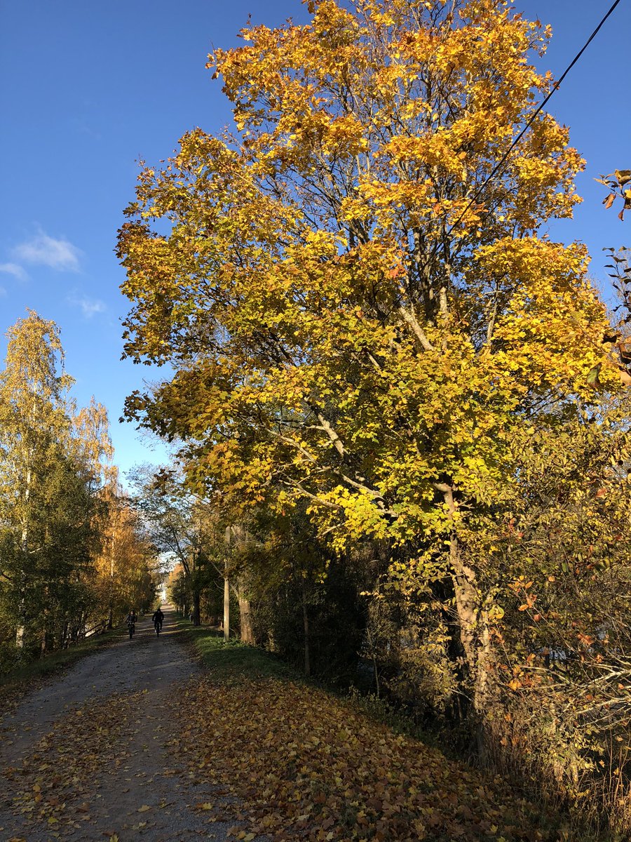 Ihana saada nauttia auringosta iltapäivän lenkillä🌞