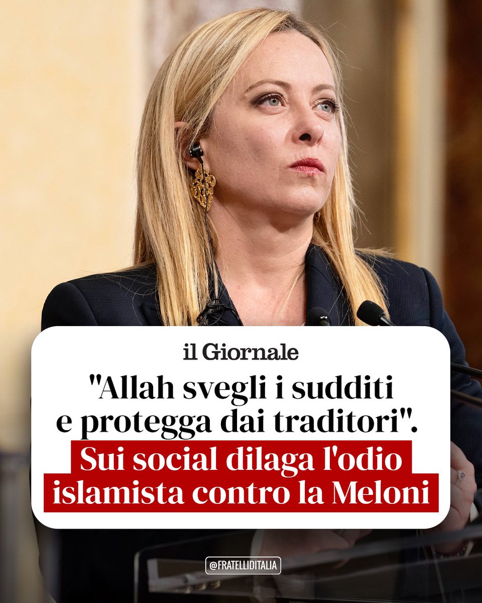Fratelli d'Italia 🇮🇹 tweet media