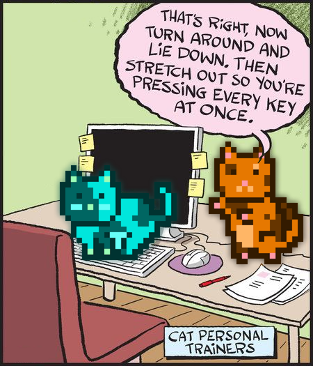 Crunchycat tweet media