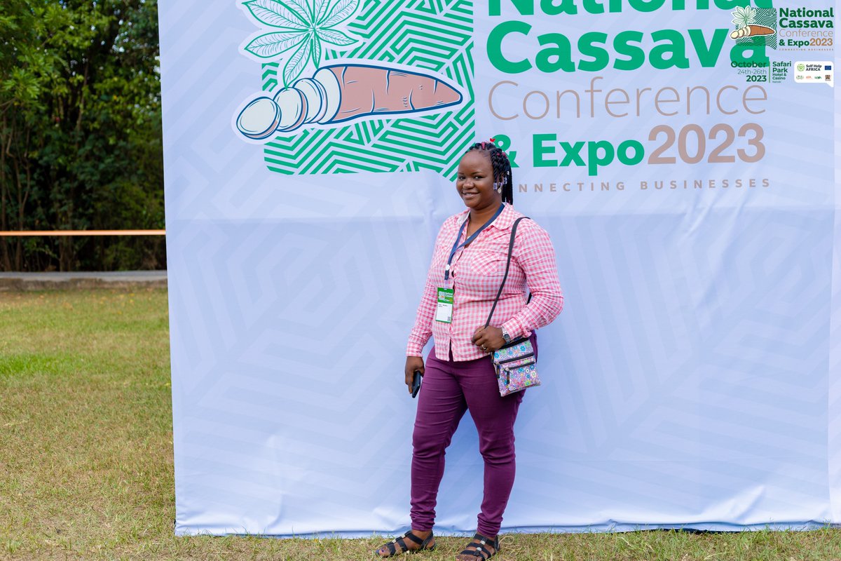 NationalCassava's tweet photo. Cassava isn't just food; it's a cash crop that supports families and communities.
It's remarkable how this root plays a vital role in rural economies.
Watch us here: https://t.co/MCFEYzSCPZ 

#CassavaCon #CassavaExpo2023 #CassavaIndustry #Kenya #FoodSecurity #EconomicDevelopment https://t.co/Wbl3iSIMcT