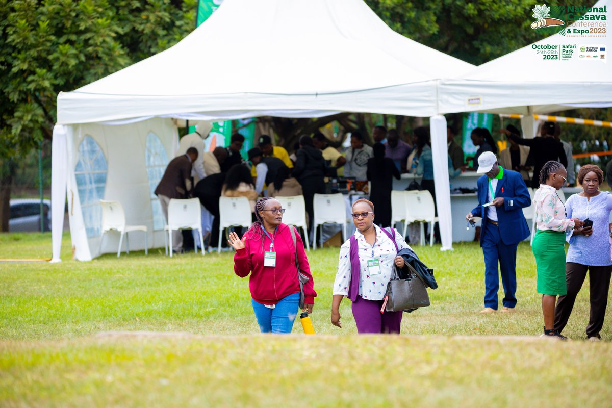NationalCassava's tweet photo. Cassava is an economic lifeline.
Its contribution to local economies and global trade is impressive. Let's celebrate the financial impact of cassava! 
Watch us here: https://t.co/MCFEYzSCPZ 

#CassavaCon #CassavaExpo2023  #CassavaIndustry #Kenya #Agriculture #EconomicDevelopment https://t.co/Is0GgKJMDj