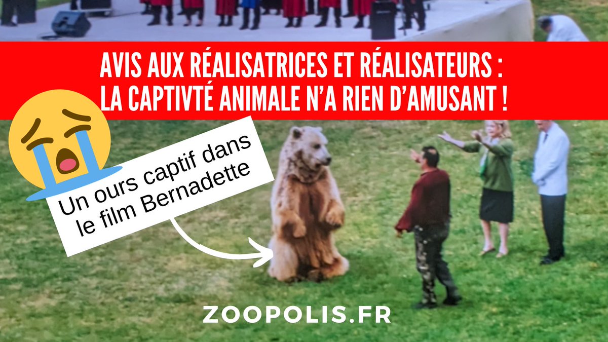 chrysalis_rebor's tweet photo. 😭 Dans le film #Bernadette, un véritable #ours captif est utilisé !🐻
🎬 C’est honteux que des films qui font souffrir des #animaux soient soutenus par @France3Cinema ! @francetele #BernadetteLeFilm #LesAnimauxNeSontPasDesActeurs
https://t.co/77pJAQrf5J