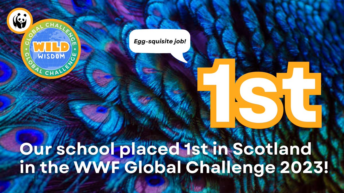 eSgoil's tweet photo. i-Sgoil primary &amp; secondary learners recently took part in the WWF Global Challenge 2023 learning all about birds and are proud to have placed first in Scotland.

Check out what the class learned here: https://t.co/hBbk3WZ5kf

#WWF #ITZA https://t.co/EguS2nyvBq