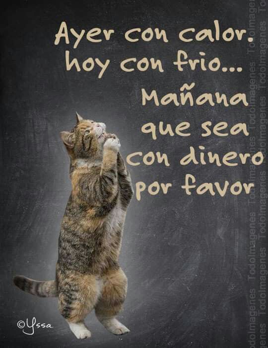 😹😹