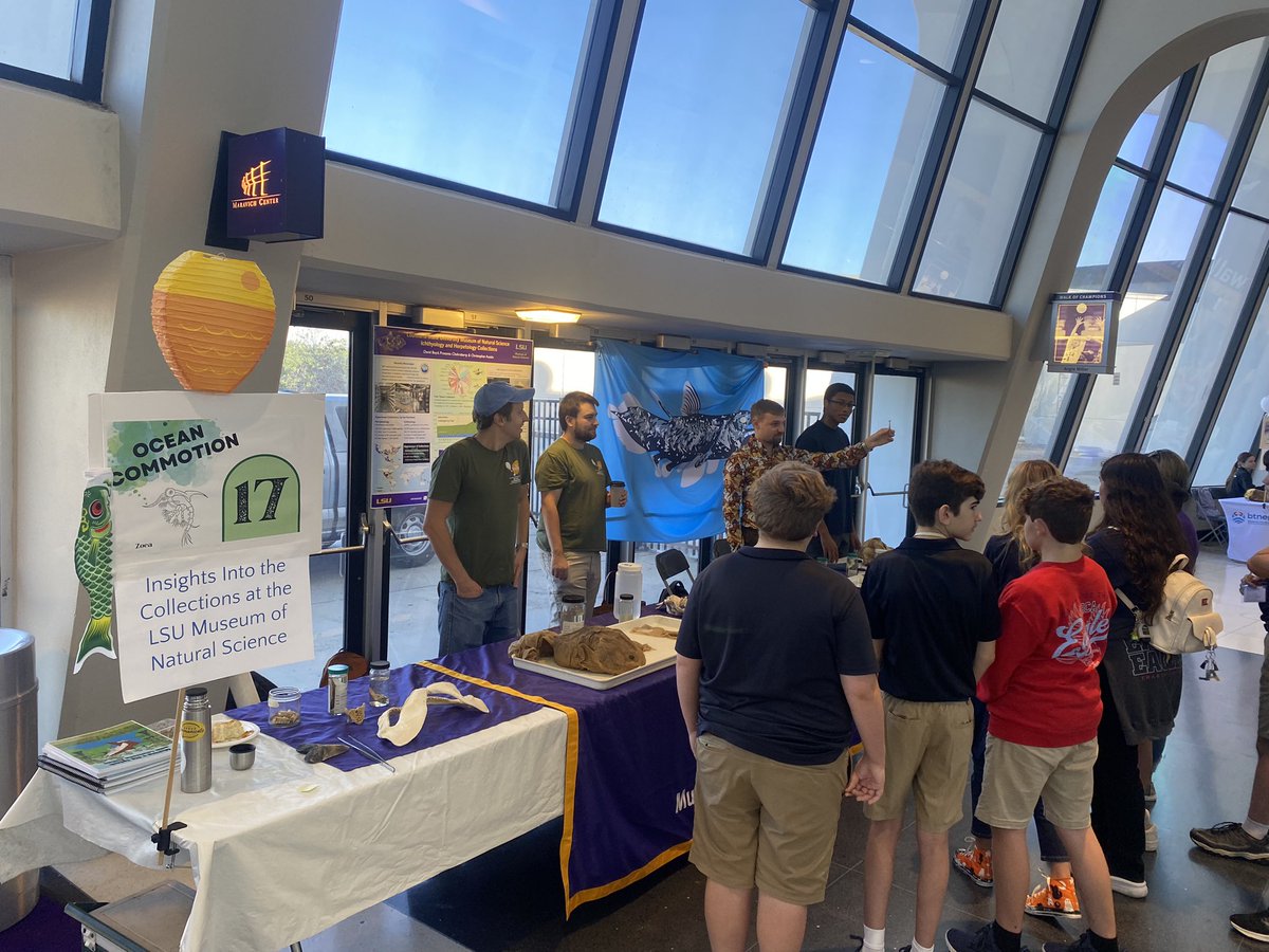 PREAUX_FISH's tweet photo. Come check out Booth 17 of #OceanCommotion at the PMAC @LSU - itβs the @LSU_MNS representing oceanic biodiversity - including a blobfish, seahorses, a dolphin skull, an albino sea turtle and more! #LSU_fish #ichthyology https://t.co/4yhDu3gW1U