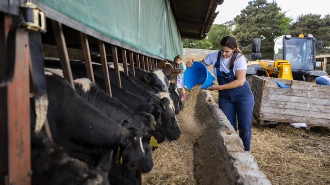 What Irish farming needs: young, female, more diverse farmers UL's Dr Mary Curtin and Dr Caroline Murphy explain that attracting more young people and more females into the sector will bring innovative approaches to farming in the future rte.ie/brainstorm/202… #StudyatUL