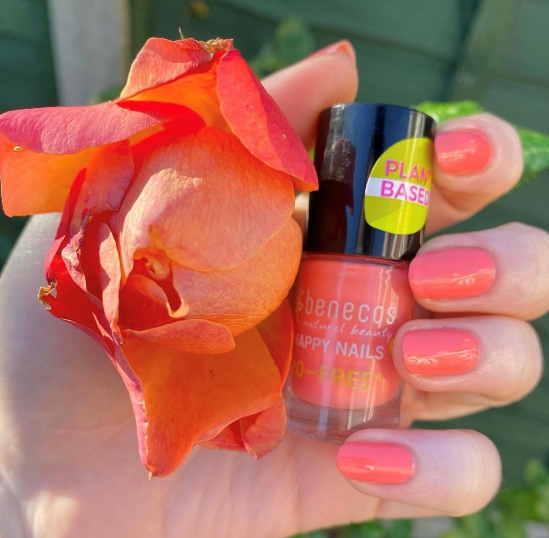 Our Peach Sorbet nail colour has you sorted for the Halloween weekend.  😃

benecos.uk