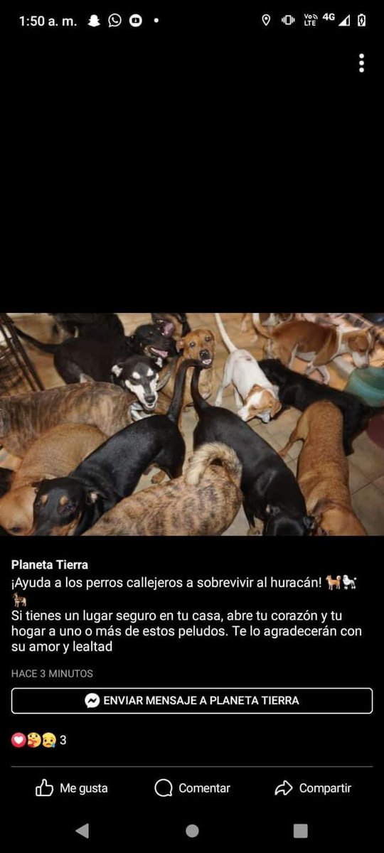 Lorenza tweet media