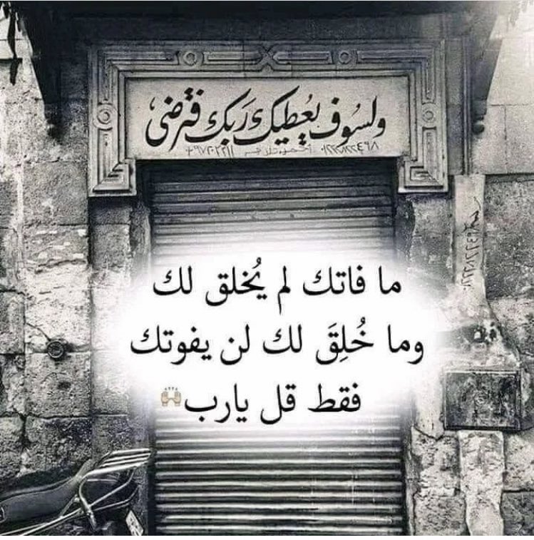 ام محمد tweet media