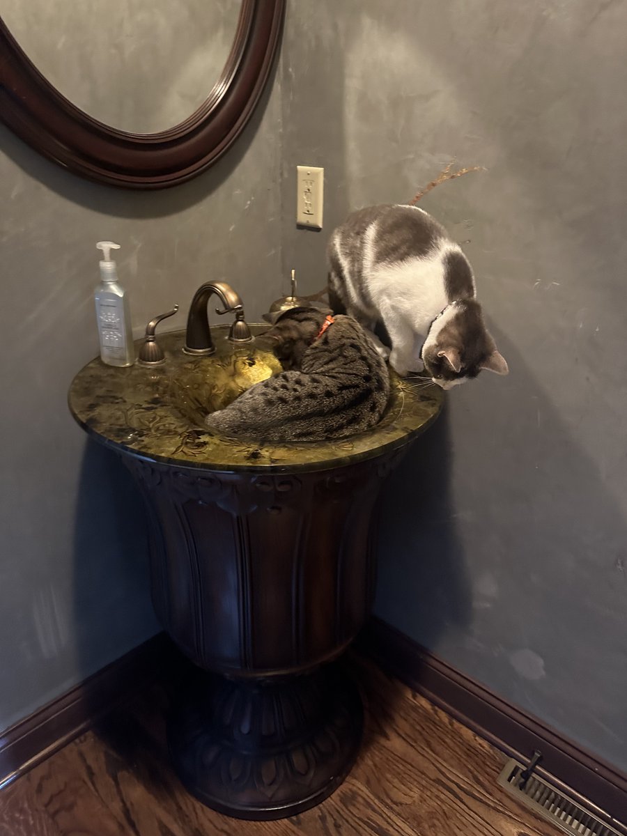 cerealandyogurt's tweet photo. parent been so busy lately we couldn’t post, here’s us just chillin https://t.co/KuSeOEsvOD