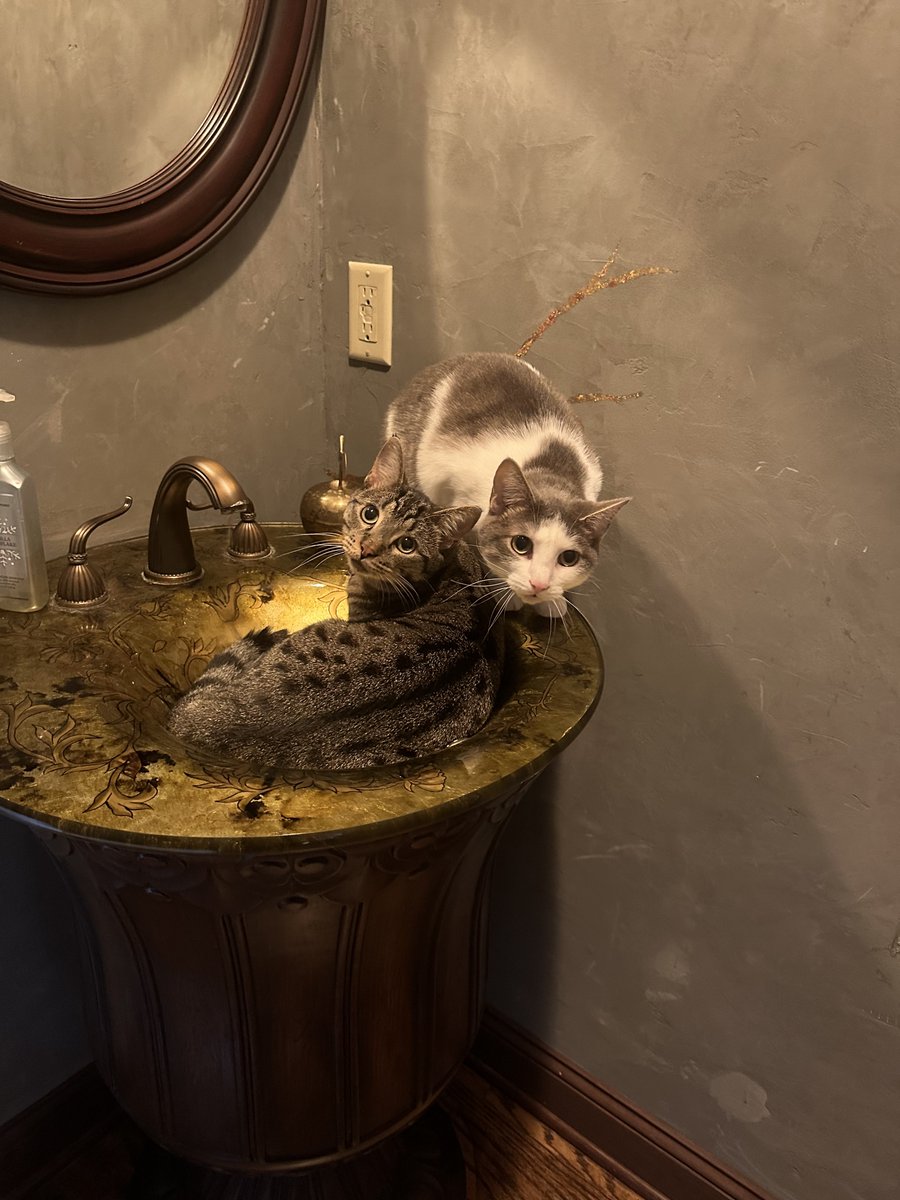 parent been so busy lately we couldn’t post, here’s us just chillin