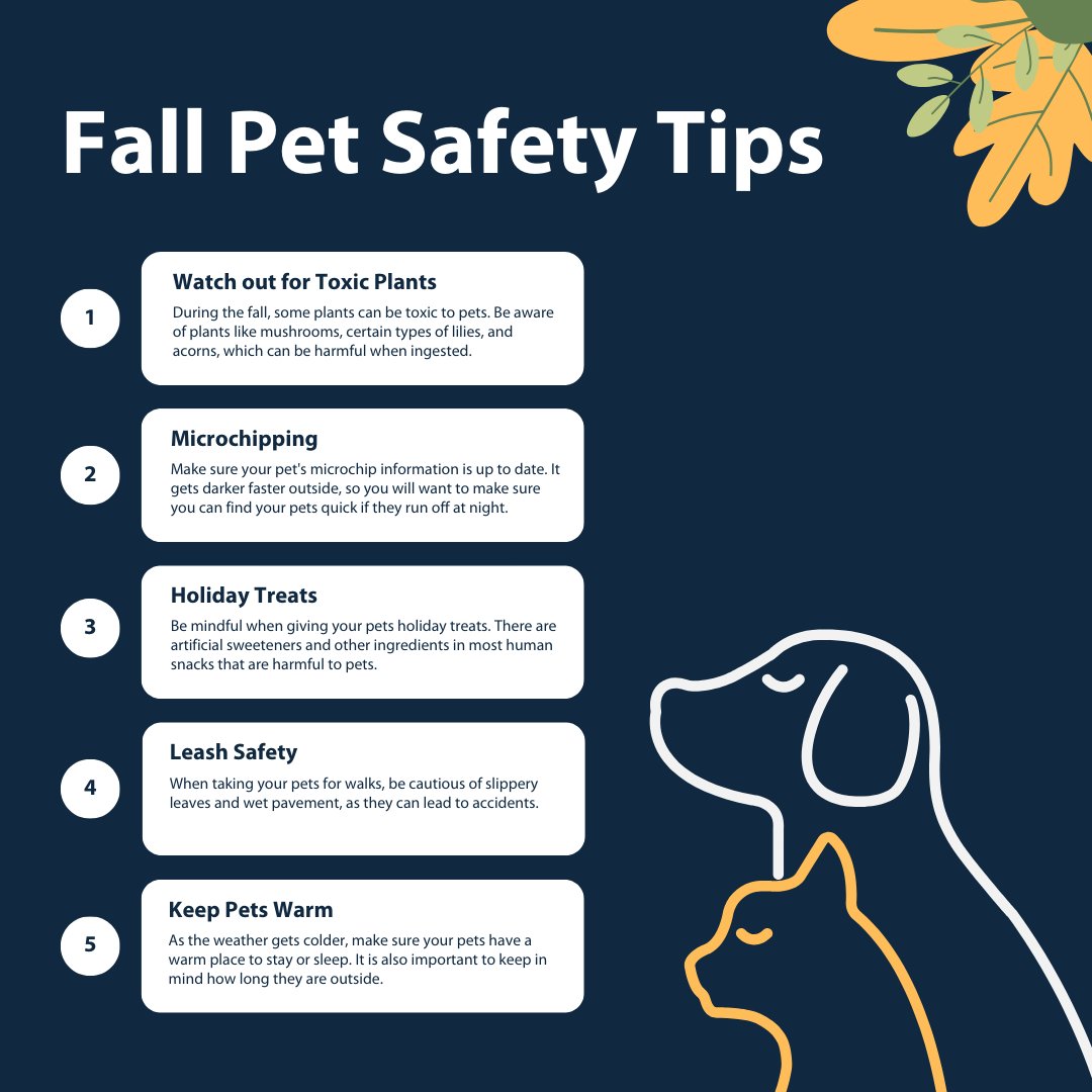 Here at Unitas, we love our pets. Following these five steps can help keep your furry loved ones safe and healthy this Fall season.