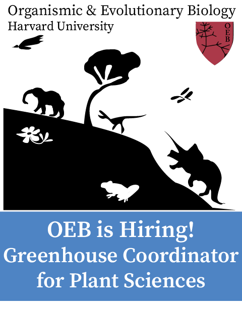 We are hiring a Greenhouse Coordinator for Plant Sciences. Apply today! bit.ly/3McBo57
#workatharvard #greenhouse #plantsciences #plantgrowthfacilities