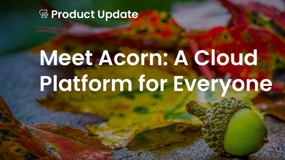 Shannon Williams tweet media