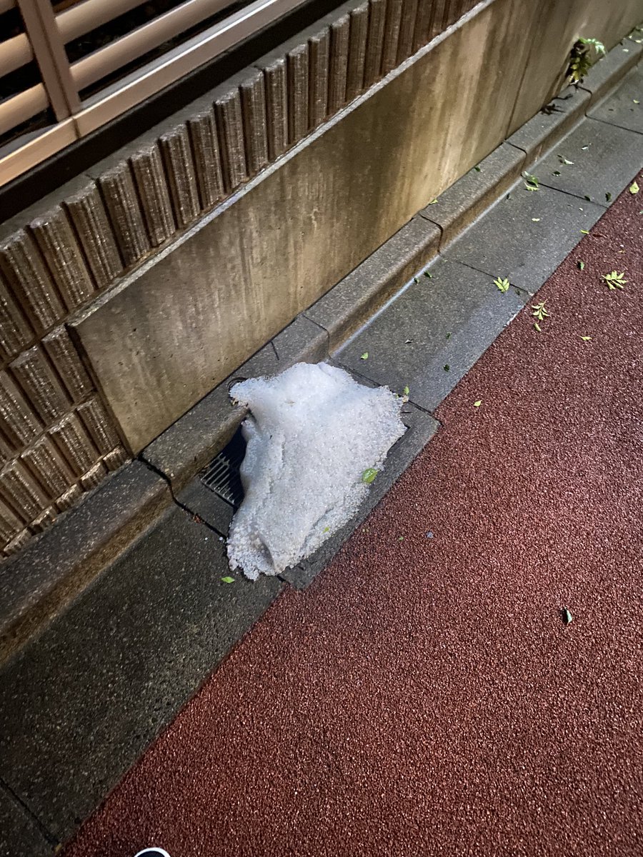 men_egg's tweet photo. 日本一早い積雪（雹） https://t.co/garlUBv01J