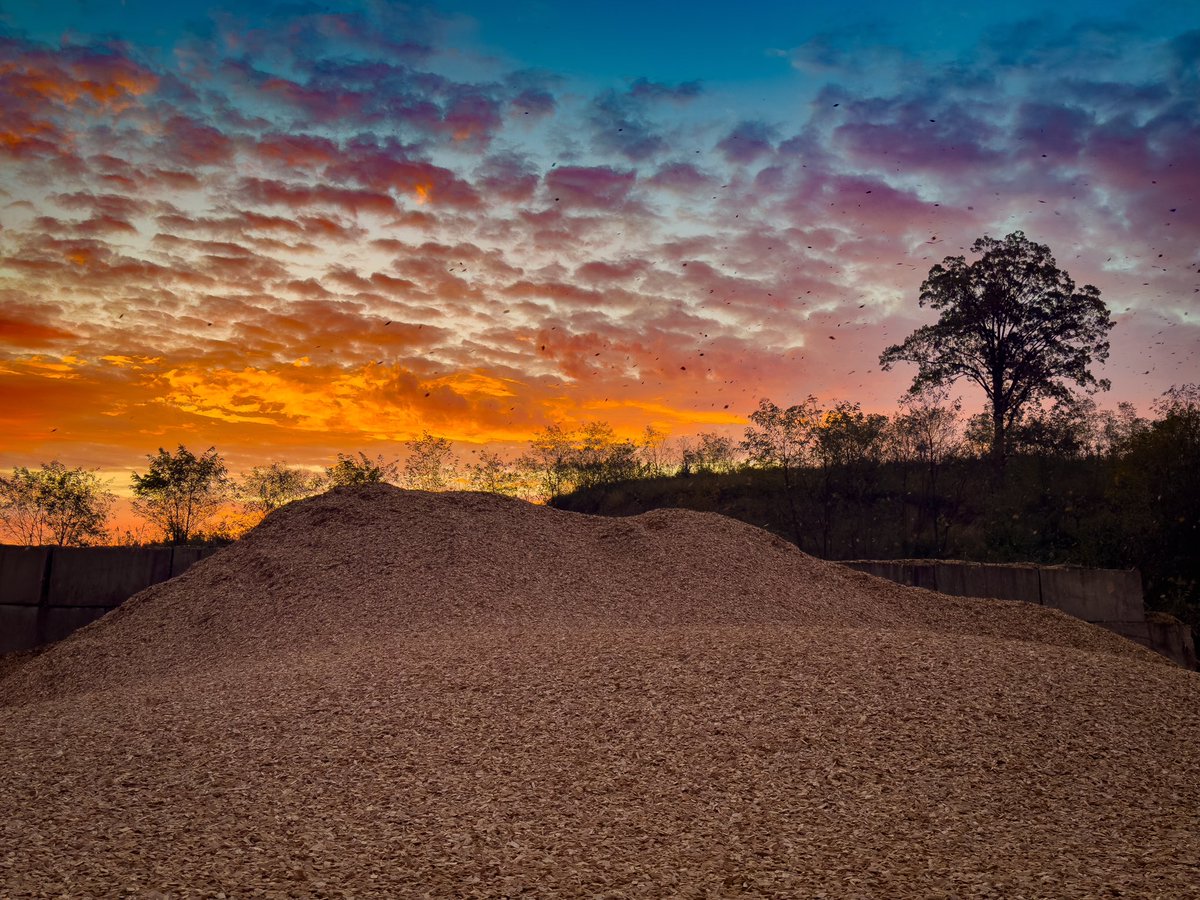 SSStave's tweet image. Who would think a wood chip pile would be so beautiful?!? If you look close you can see the chips flying onto the growing chip hill.

Have a “wood chip hill” kind of day while we keep working to get your next drink ready.
#bourbon #barrels #wine #staves