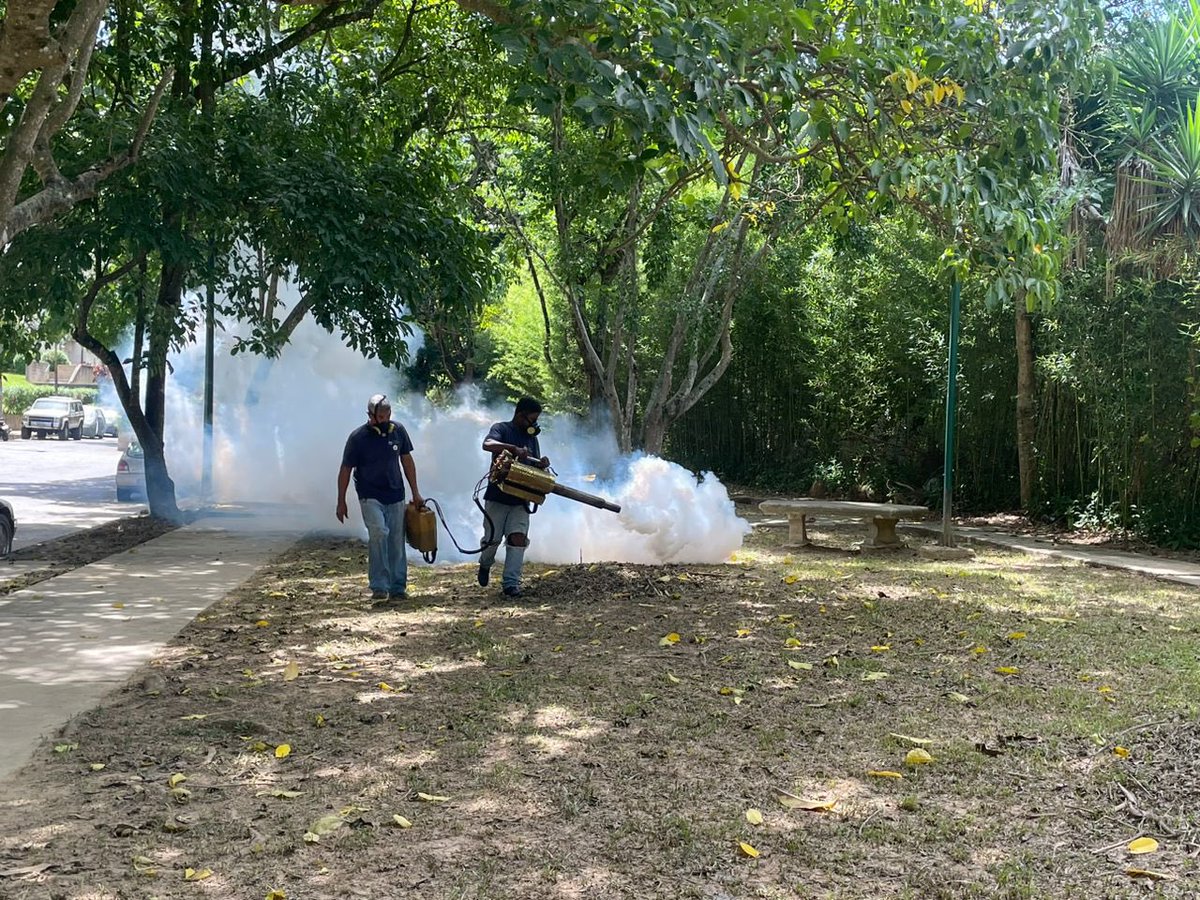 luisaguilarj's tweet photo. Vecinos, nuestra cuadrilla de fumigación sigue atendiendo sus solicitudes en todo el municipio.

En esta ocasión, estuvieron en La Bonita para cumplir con las labores de prevención contra zancudos y mosquitos. 🦟 https://t.co/mvlLiezOSU