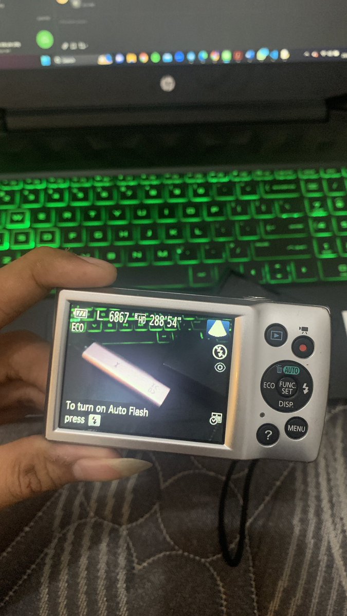 ikanKOI tweet media