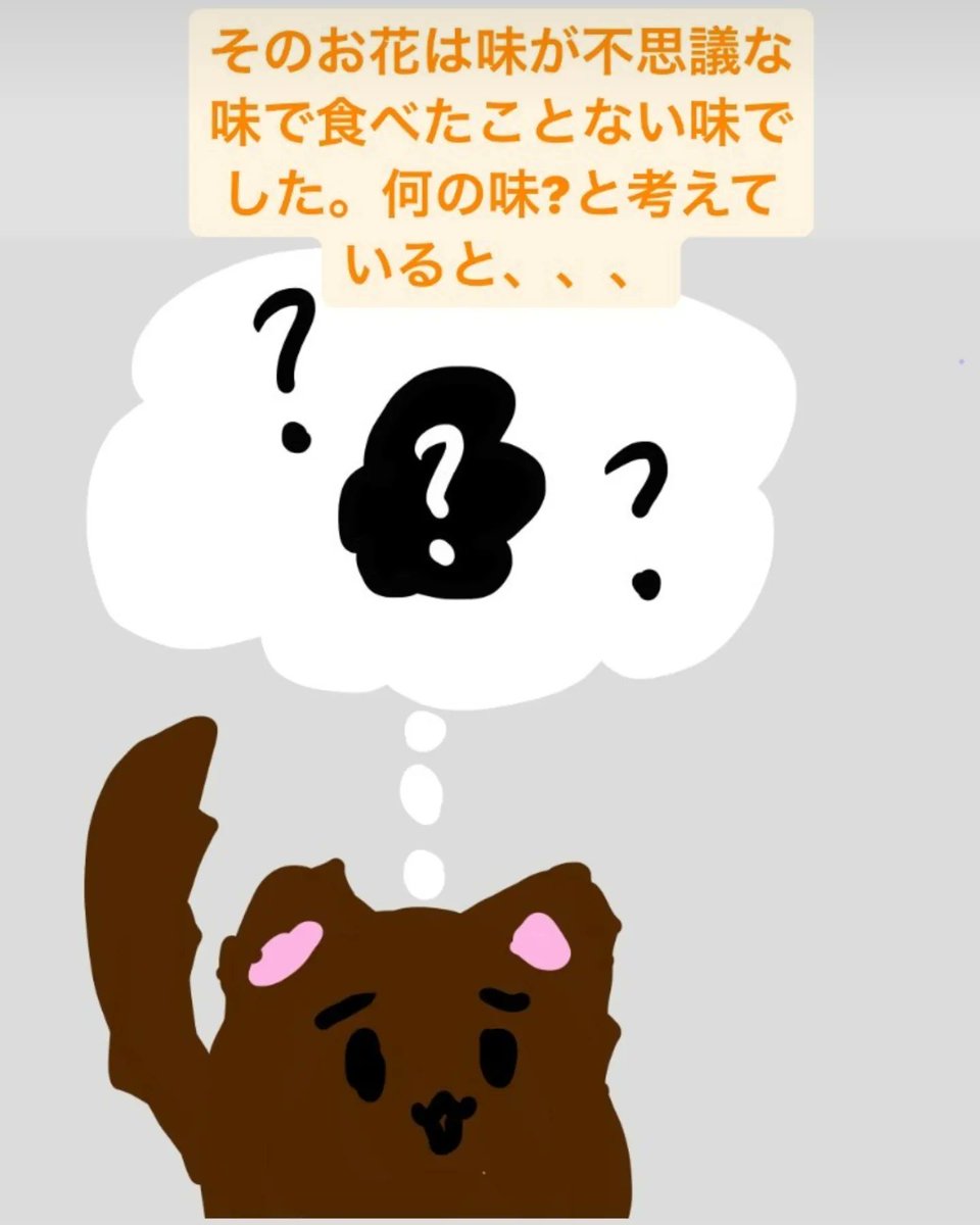 TheWitch_eth's tweet photo. @necopiko_nft https://t.co/J4tyxNGdic
