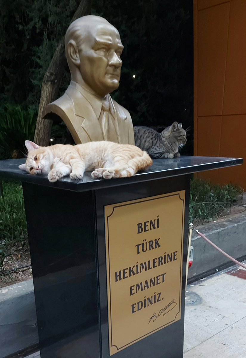 TurkishArc's tweet photo. https://t.co/92w9BdULjL