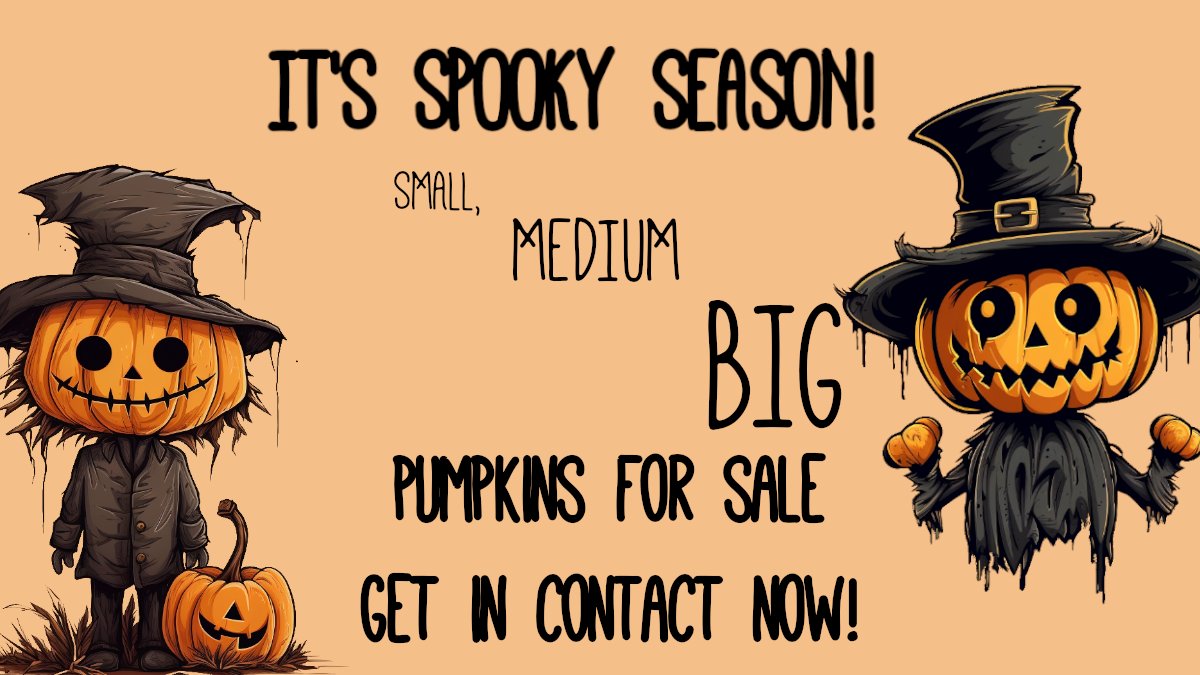 Take your pick of our range of pumpkins! Delicious to eat, and beautiful to carve! bobtailfruit.co.uk/catalogsearch/…… #spookymonth #SpookySZN #Halloween #pumpkin #pumpkincarving #pumpkins #fruitdeliverylondon #fruitfortheoffice #fruitful #offices