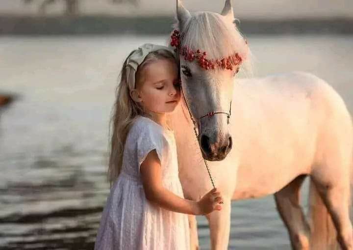 إنّي أقولُ لنفسي وهيَ ضيّقةٌ وقد أناخَ عليها الدَّهرُ بالعَجَبِ

سيفتحُ اللهُ عن قُربٍ بنافعةٍ، فيها لمِثلِكِ راحاتٌ منَ التّعَبِ ..

#الإمارات_العبرية