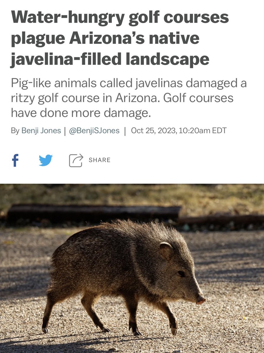 BenjiSJones's tweet image. Oh, look, I fixed it. 

vox.com/down-to-earth/…