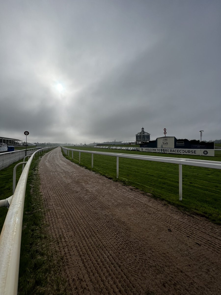 zacharias_jones's tweet image. Work underway at York Racecourse. 6” dug off, replaced with fibre rootzone, harrowed, compacted and seeded to bring body and strength to a high ware area💪🏻 @CSportsTurf
