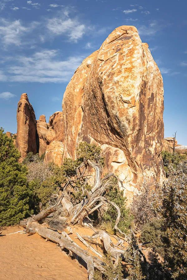 joancarroll's tweet photo. Devils Garden Arches National Park Moab Utah! https://t.co/j8Obp3QKJ4 #landscape #archesnationalpark #devilsgarden #rockformations #landscapephotography @joancarroll #utah #moab https://t.co/iHeUFdWXXu