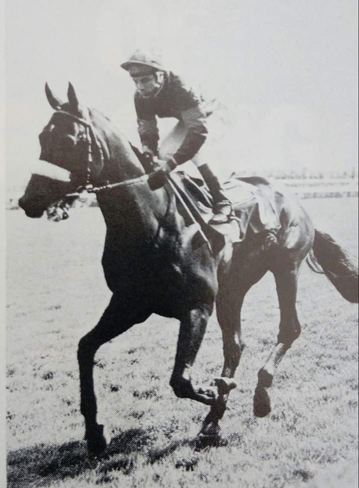 HORSERACING1002's tweet photo. IN FIJAR 🇺🇸1977
(BOLD COMMANDER - APACHE QUEEN BY MARSHAL AT ARMS)
#InFijar
Another Ohio bred. https://t.co/onxcYwFf8l
