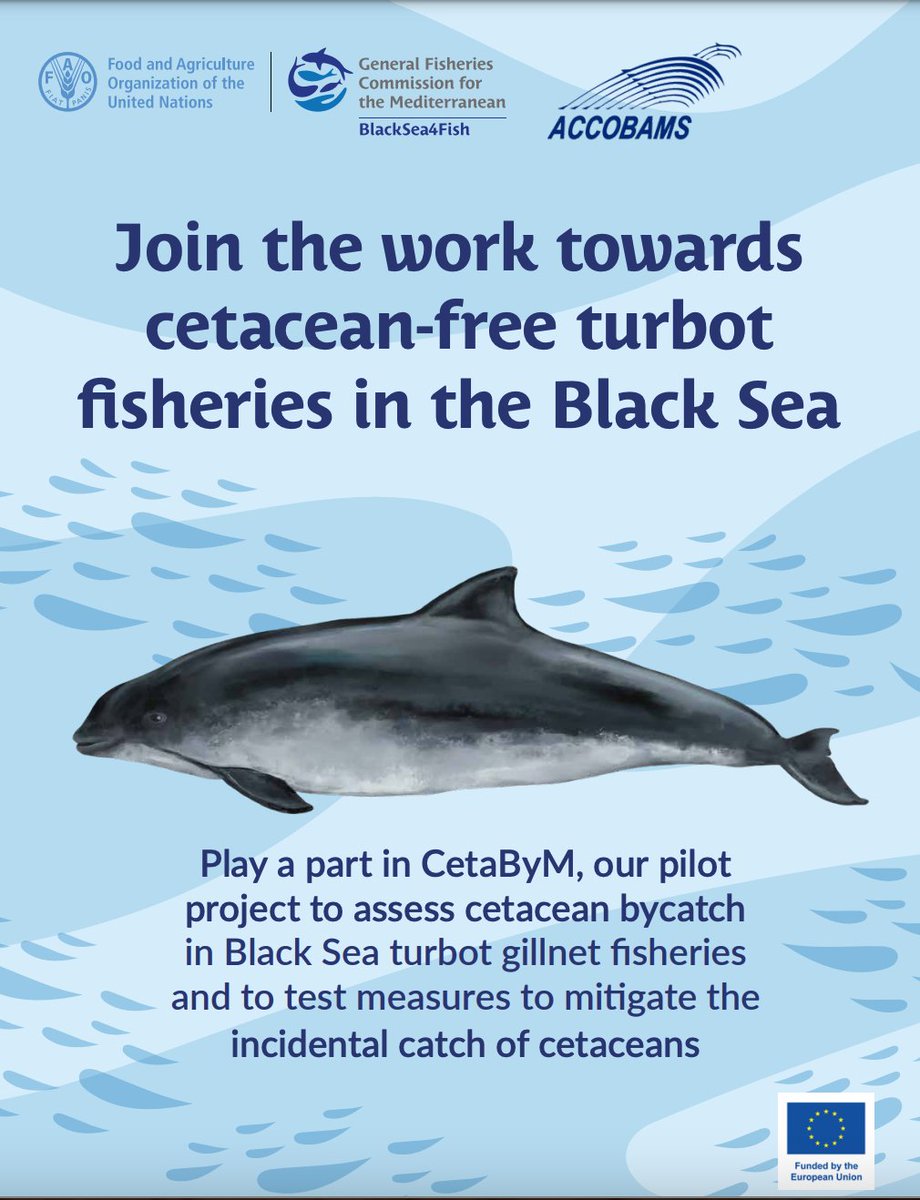 UN_FAO_GFCM's tweet photo. Interested in the #CetaByM pilot project❓Carried out in collaboration with @ACCOBAMS, it's dedicated to assessing 🐬cetacean #bycatch in Black Sea turbot gillnet fisheries and testing measures to mitigate incidental catches of cetaceans.
#BlackSea4Fish
https://t.co/f6QyRhUPZf https://t.co/XW6iaHGrSW