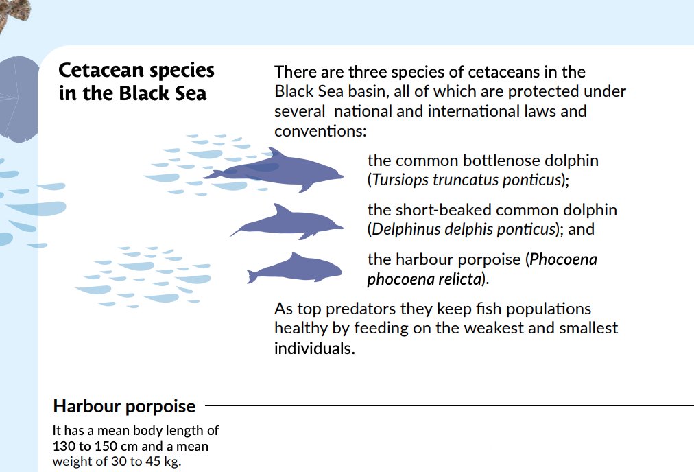 UN_FAO_GFCM's tweet photo. Interested in the #CetaByM pilot project❓Carried out in collaboration with @ACCOBAMS, it's dedicated to assessing 🐬cetacean #bycatch in Black Sea turbot gillnet fisheries and testing measures to mitigate incidental catches of cetaceans.
#BlackSea4Fish
https://t.co/f6QyRhUPZf https://t.co/XW6iaHGrSW