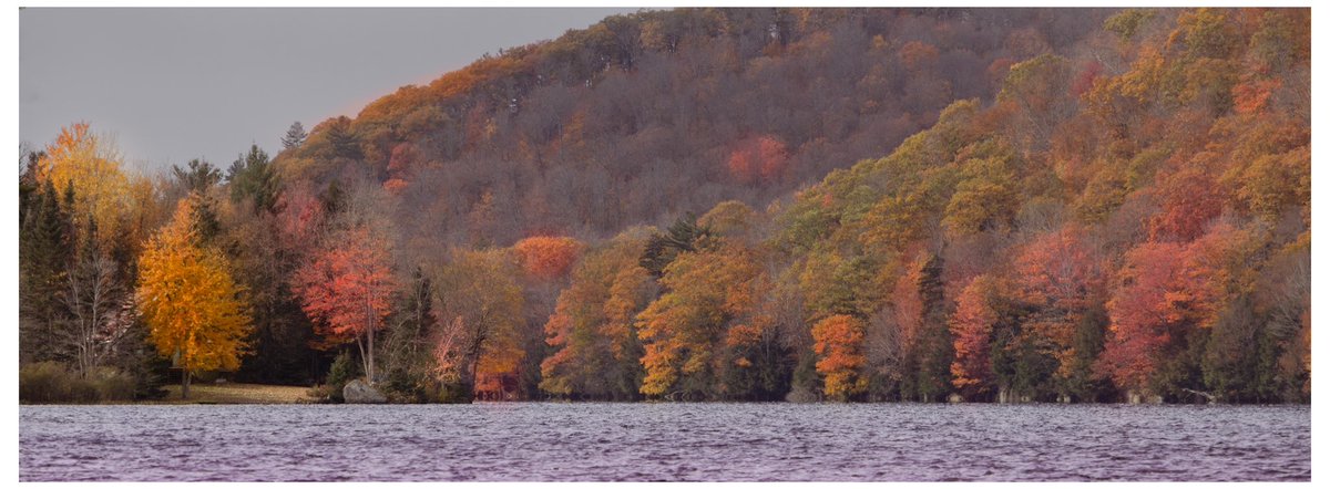 Was able to squeeze out the last of the fading color this past blustery weekend at Oxbow Lake, Adirondacks.  @VisitAdks @ADKExperience @ScottvanLaer @NaturePhotoTips @adklpl