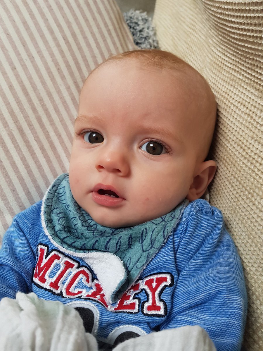 Steve Wheeler Education tweet media